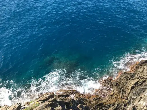 海洋系列-系列介紹